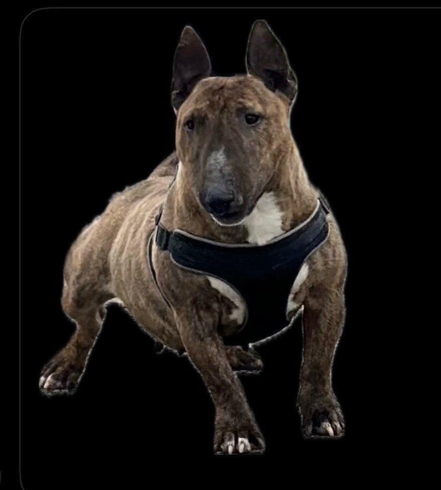 Ray ban Of The Releve