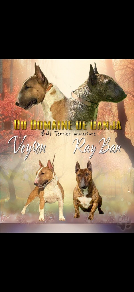 Gestation confirmée naissance 2025